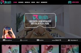 One of the top porn sites if you want great vr content